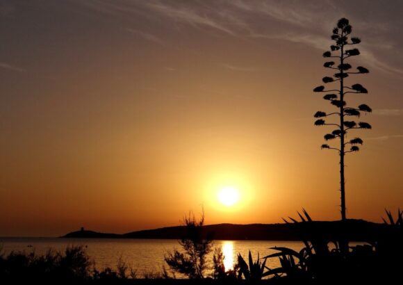 Des endroits incroyables pour vivre le coucher de soleil magique en Corse